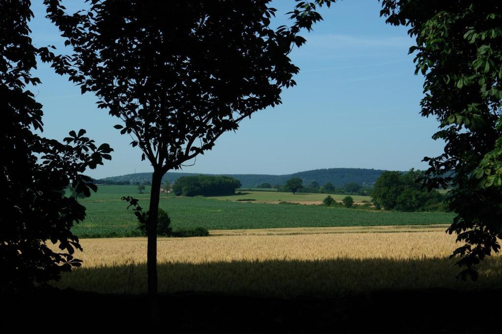 Chambres D'Hotes - Domaine Des Perrieres Crux-la-Ville Exterior photo